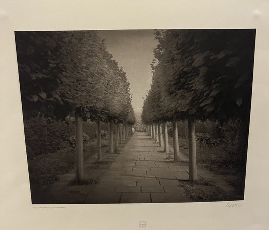 Beth Dow From the English  Garden Series C2003