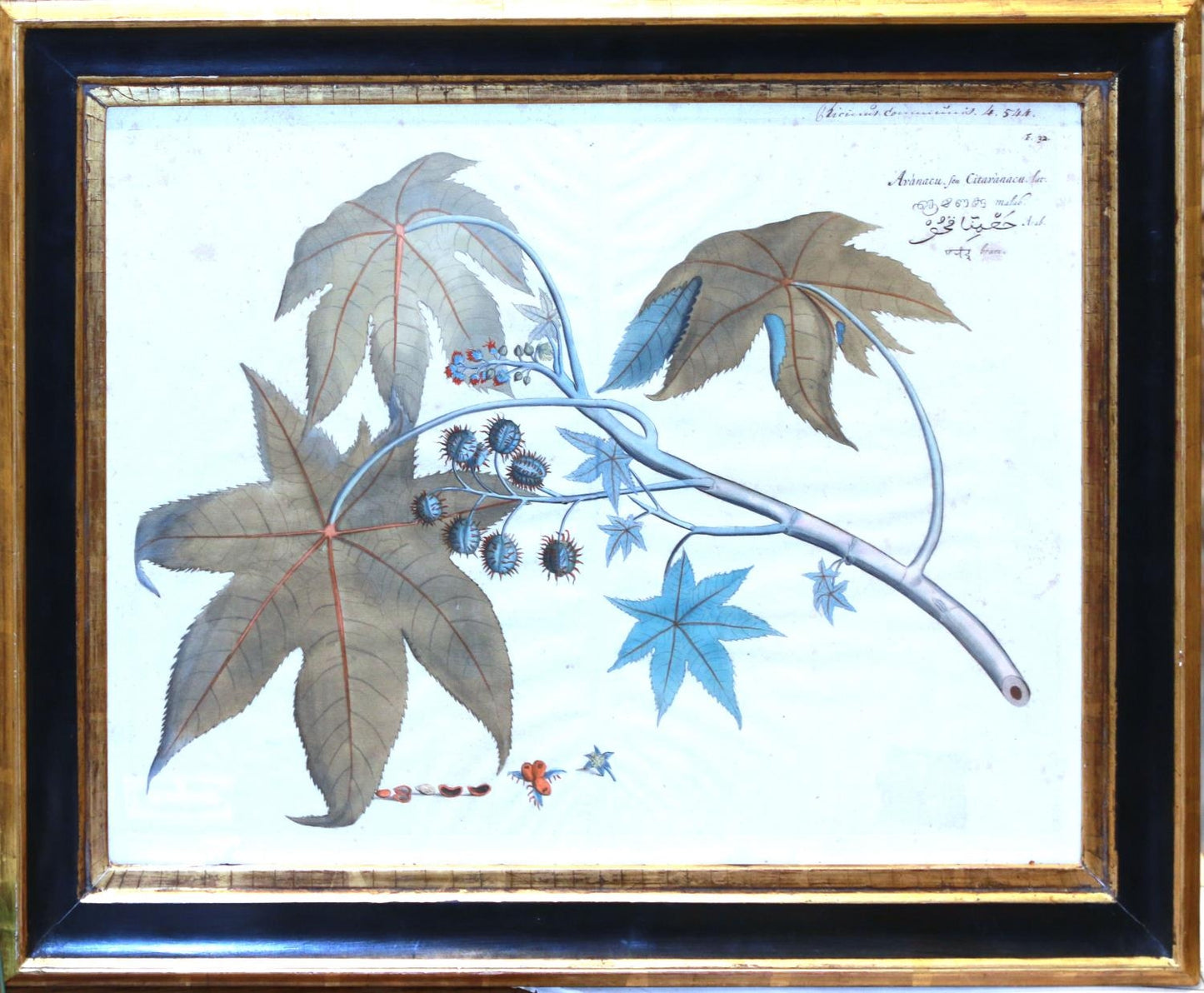 Hendrick Adriann van Rheede b 1637 (sold as a set )