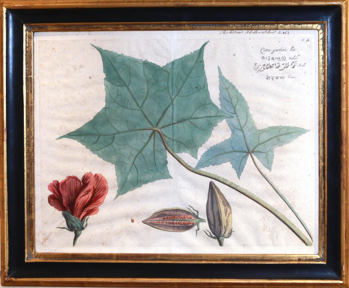 Hendrick Adriann van Rheede b 1637 (sold as a set )