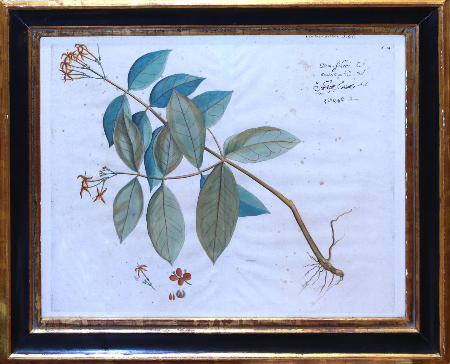 Hendrick Adriann van Rheede b 1637 (sold as a set )