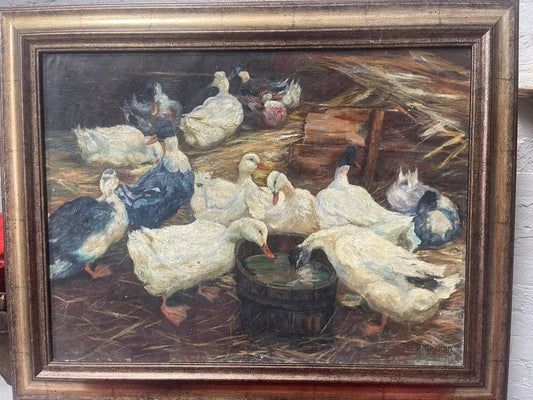 Stormo di anatre con secchio d'acqua