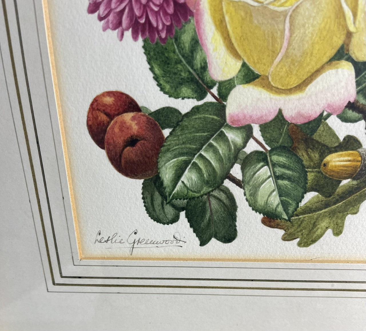 Leslie Greenwood (1907-1987): Collection of 4 Original Botanical Watercolours