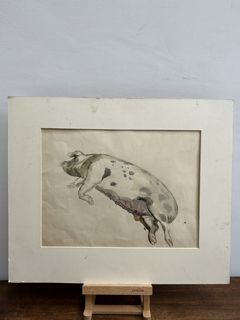 Spotted Pig Watercolour by Gerald A Cooper