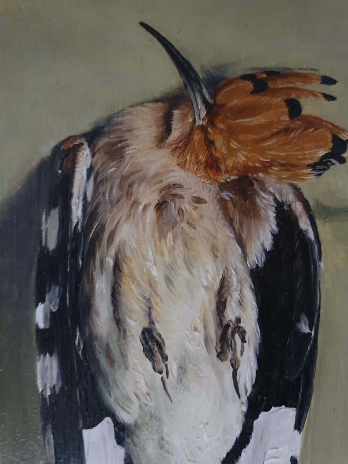 Pederzoli Tenesvard 1914-1987 Trophy Game Bird Oil on Canvas