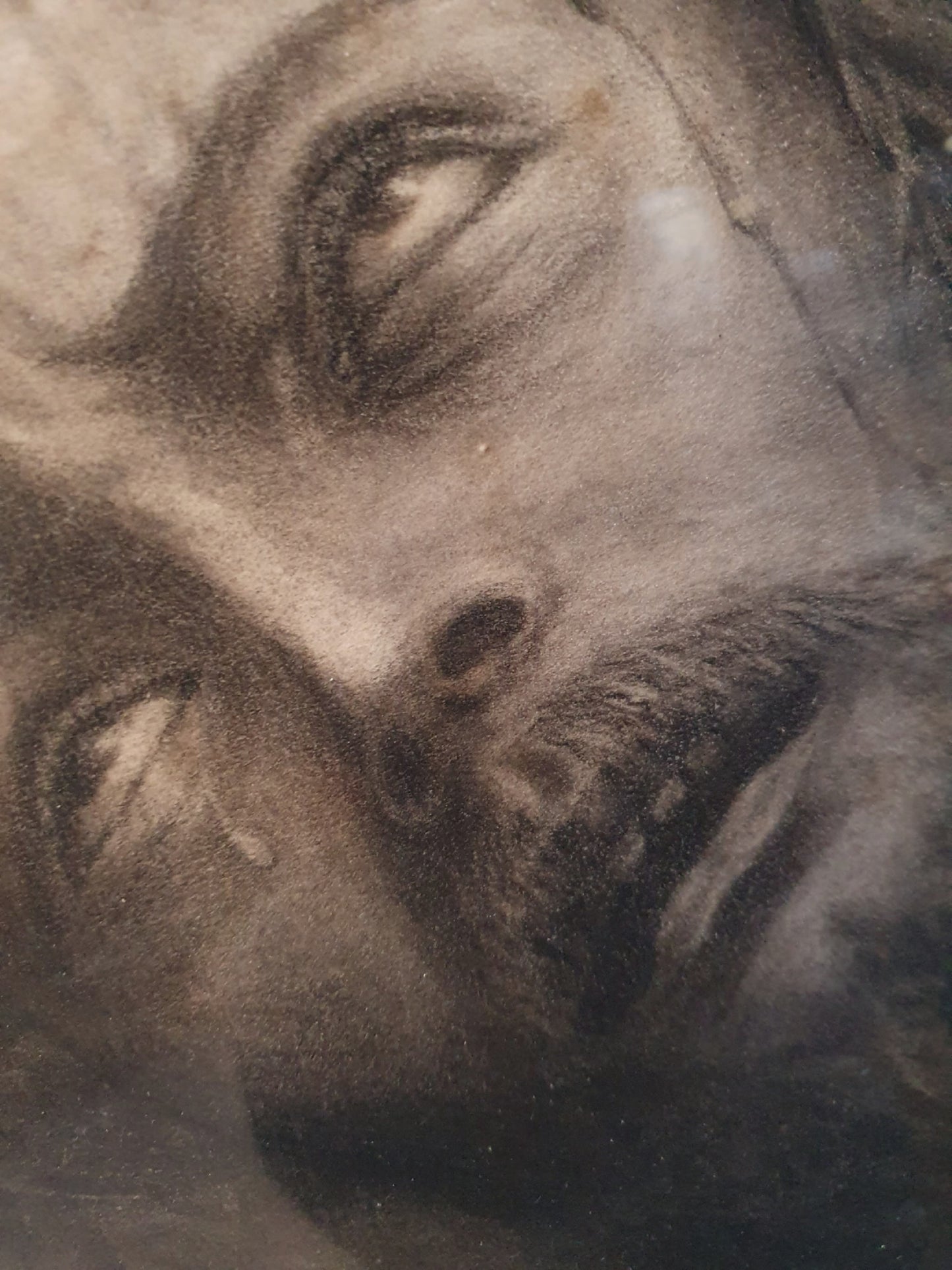 Head of Christ Drawing