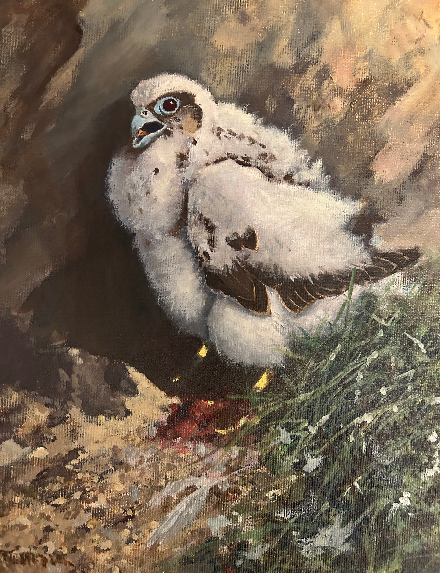 Study of a Chick by Sir Richard Dick