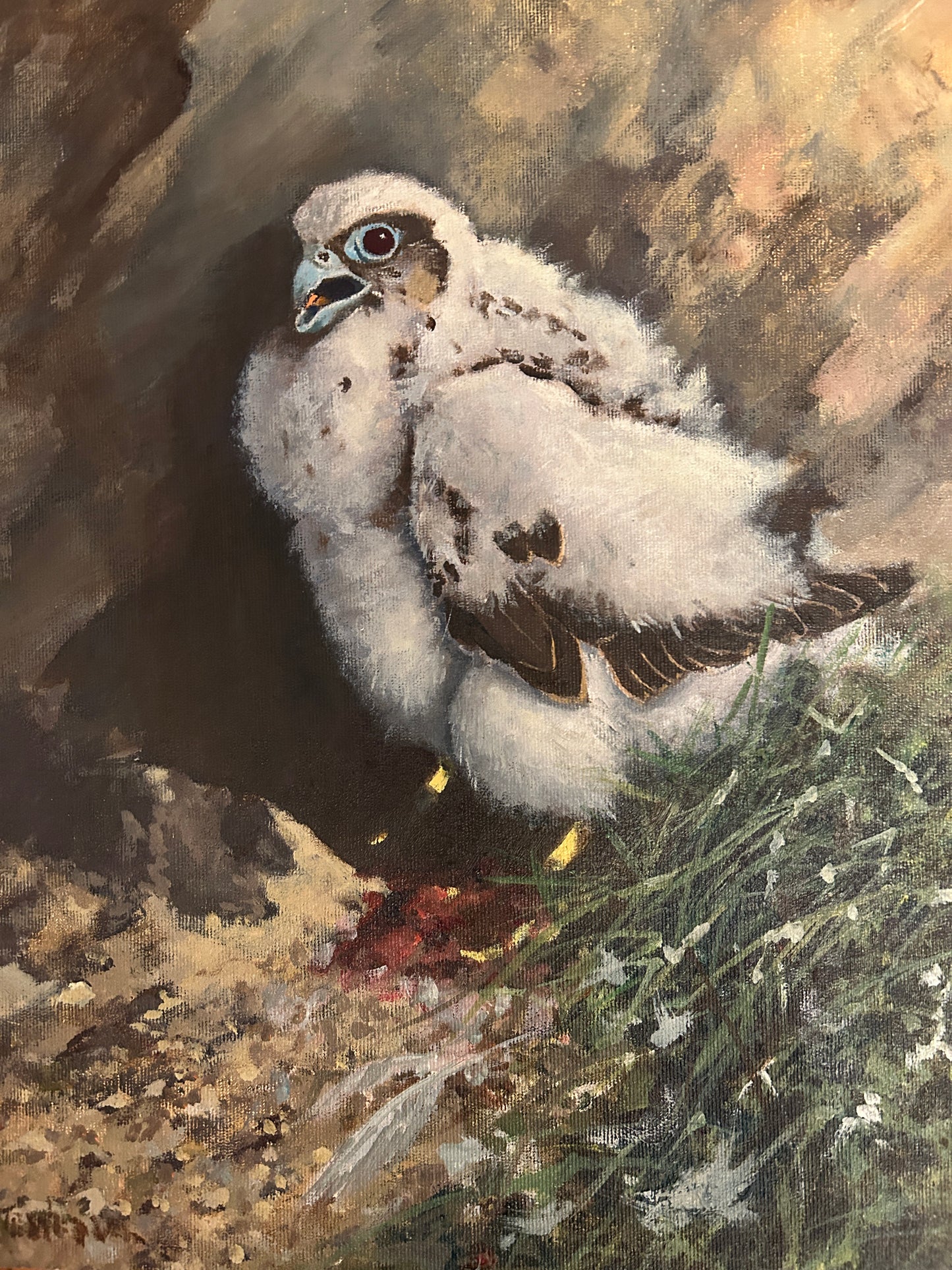 Study of a Chick by Sir Richard Dick