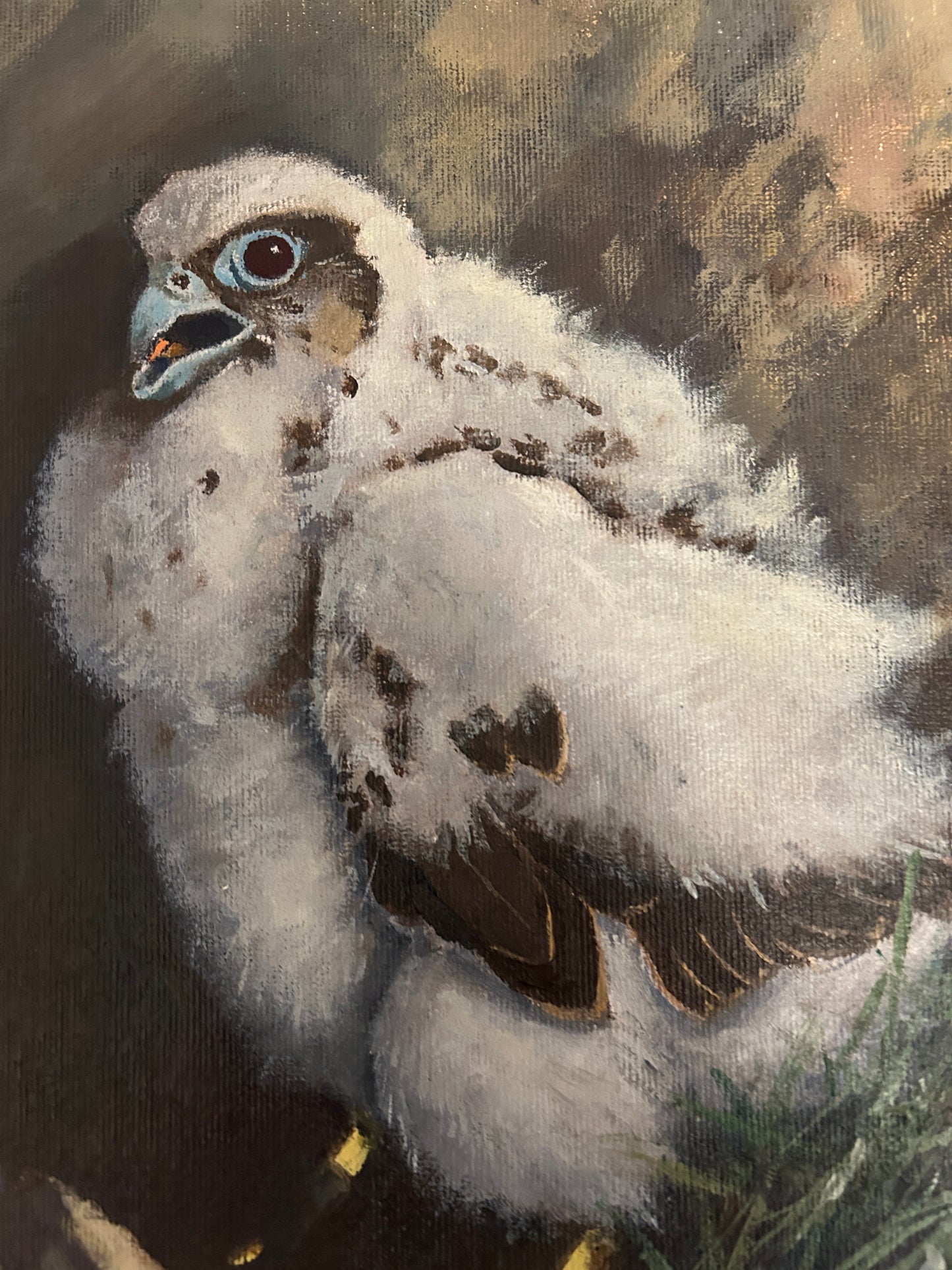 Study of a Chick by Sir Richard Dick