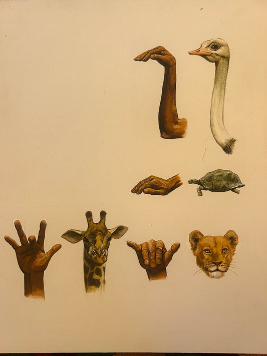 Hand Animal Study 1950's in Gouache