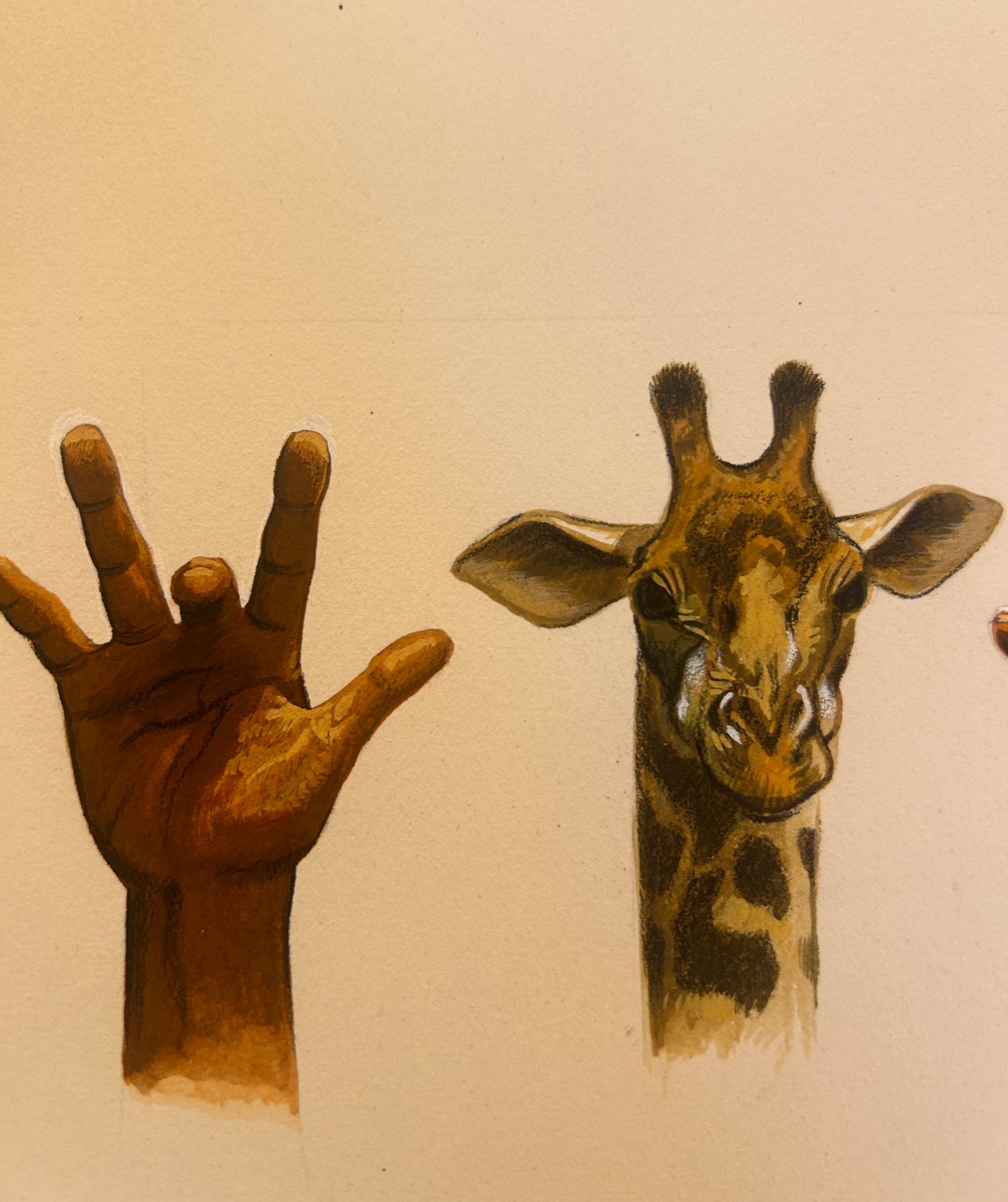 Hand Animal Study 1950's in Gouache