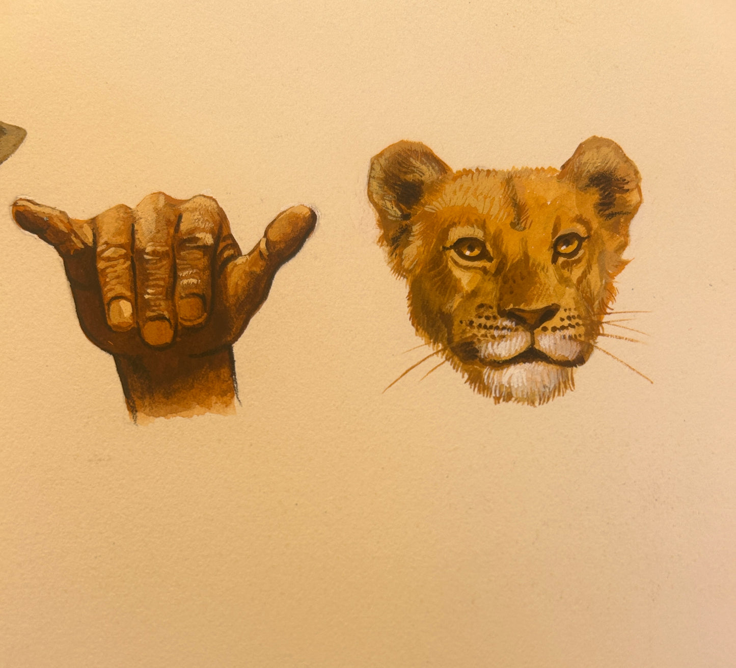 Hand Animal Study 1950's in Gouache