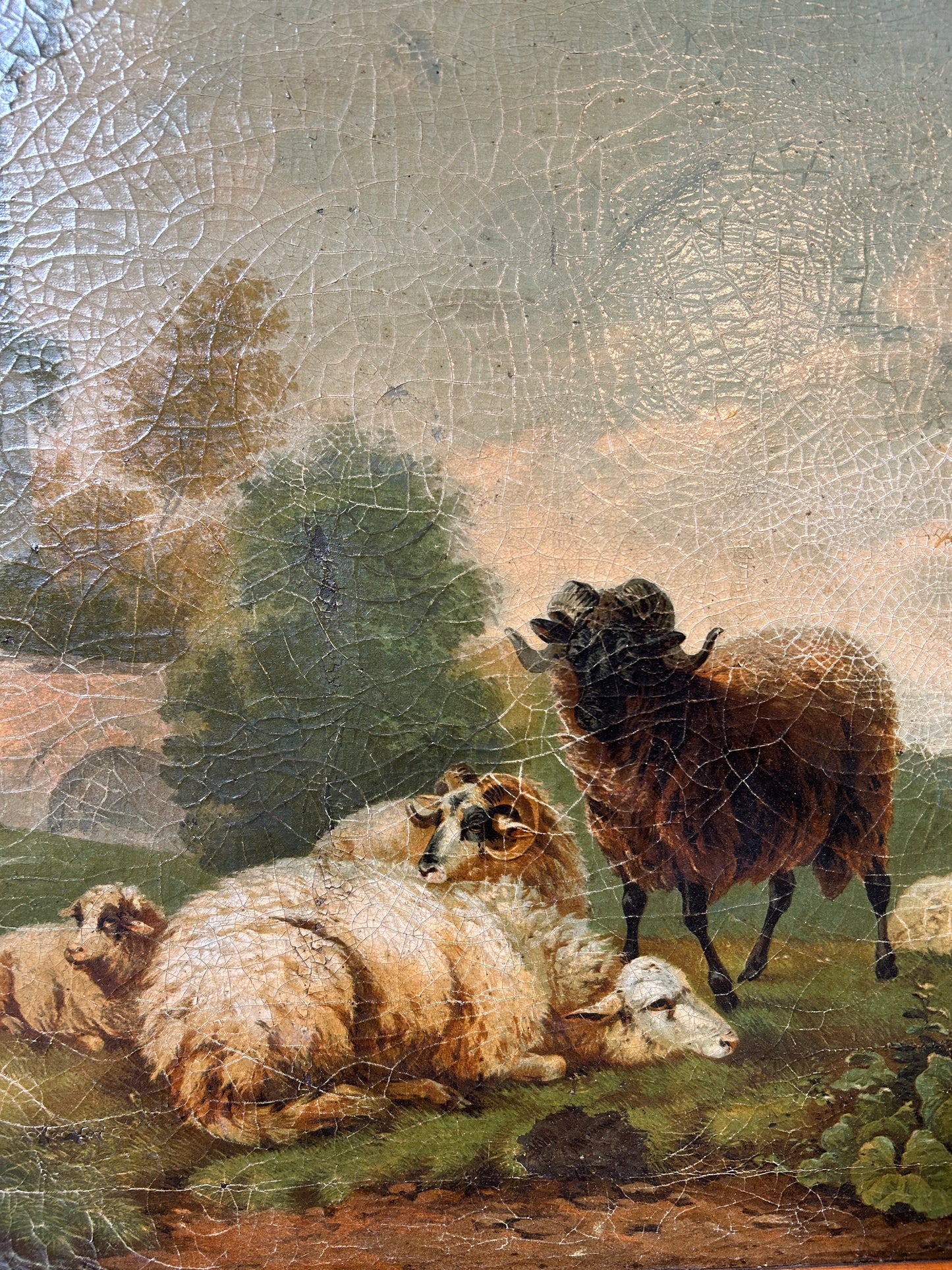 Arieti e pecore tra le rovine del Lazio C1830