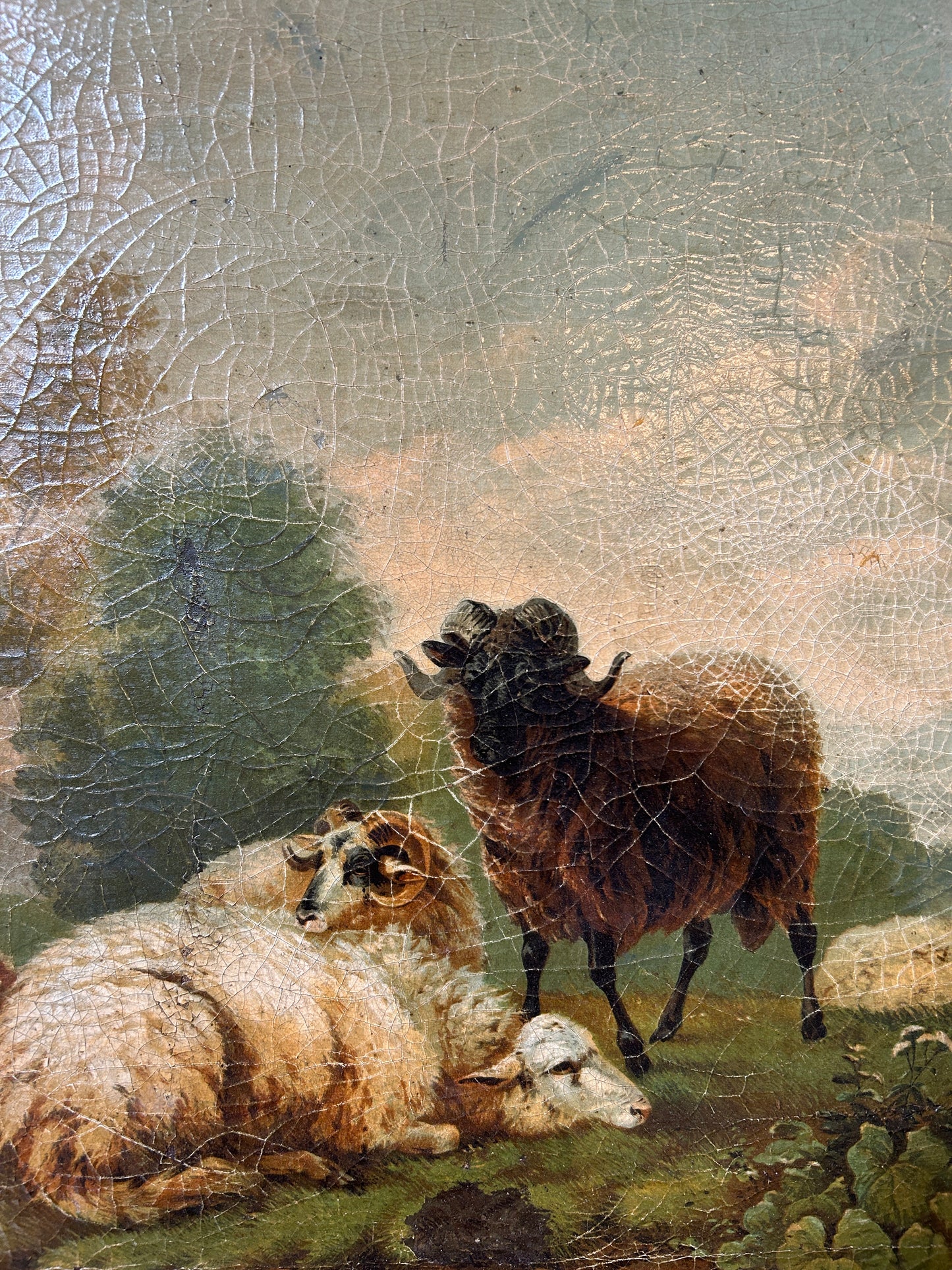 Arieti e pecore tra le rovine del Lazio C1830