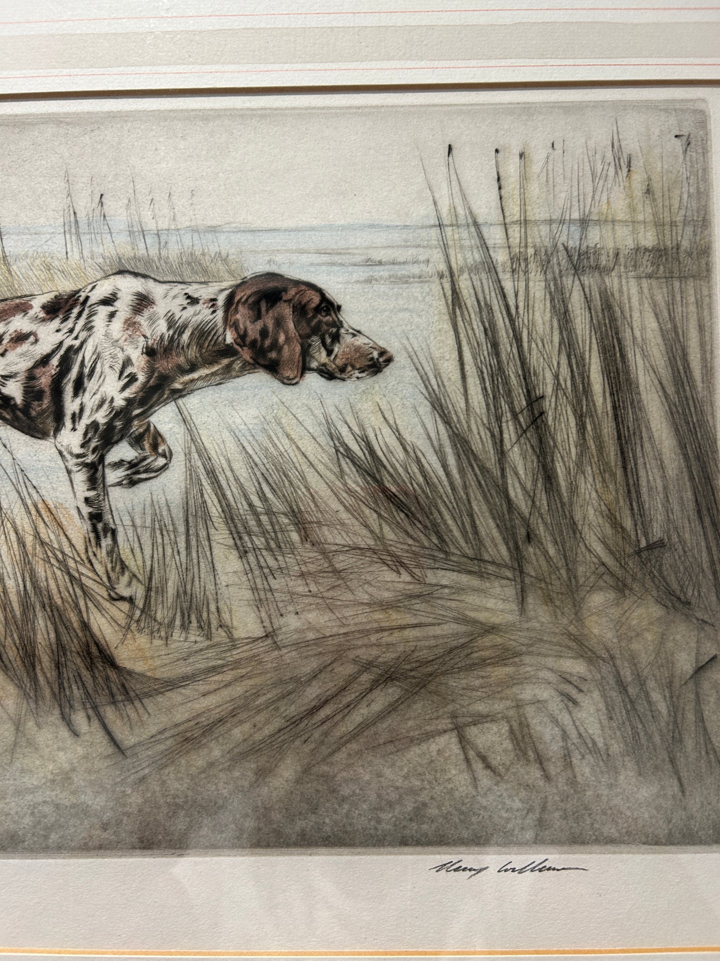 C1960s Signed Ltd edition Etching “Pointer” Gun Dog by Henry Wilkinson 1921 - 2011