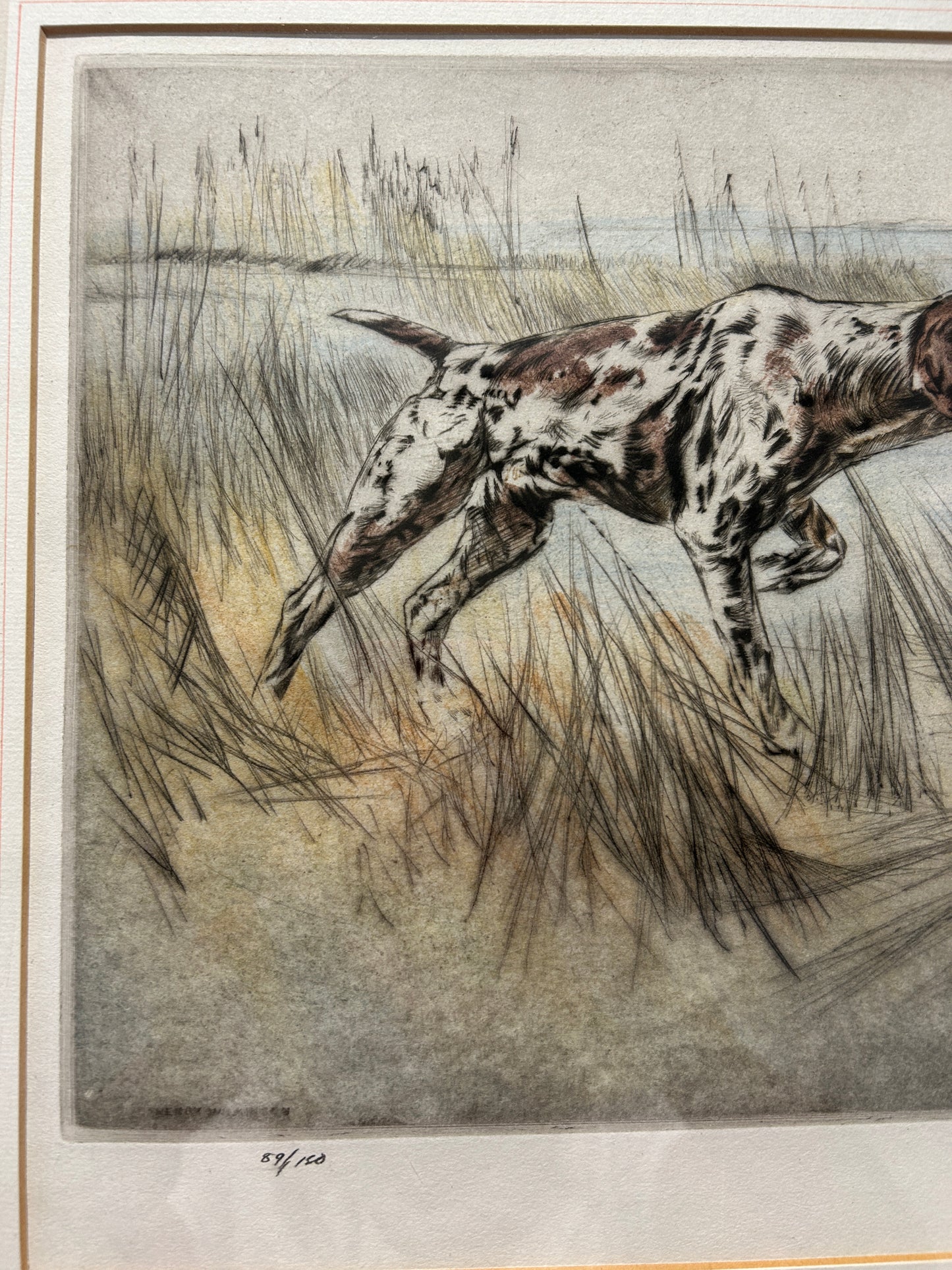 C1960s Signed Ltd edition Etching “Pointer” Gun Dog by Henry Wilkinson 1921 - 2011