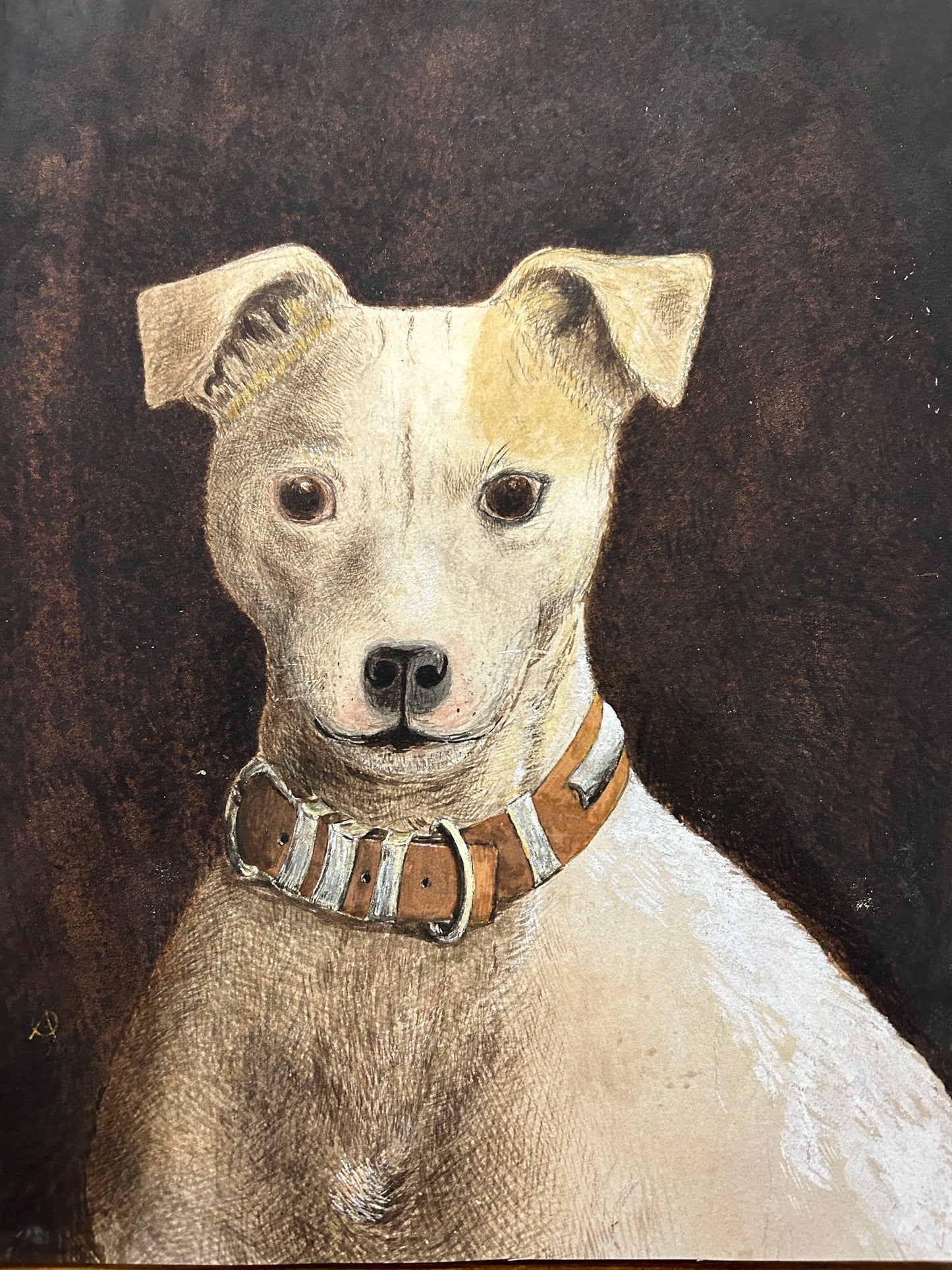 Victorian dog portrait of a terrier.  Incredible quality and in very good condition.