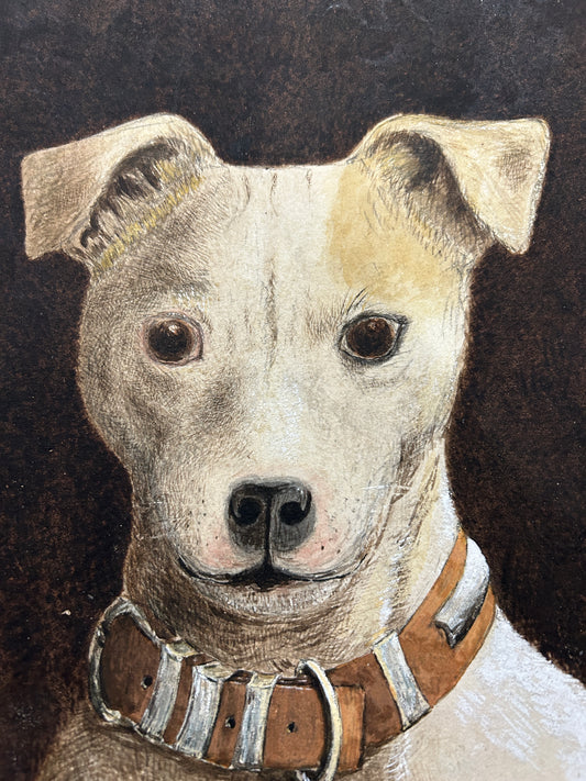 Victorian dog portrait of a terrier.  Incredible quality and in very good condition.