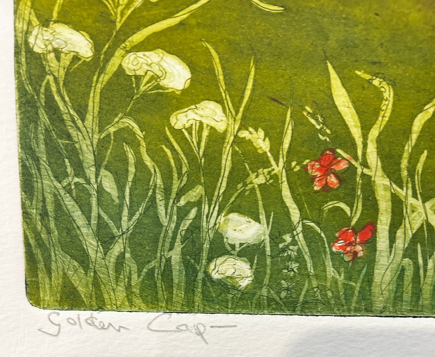 Golden Cap by the British Artist Margaret Estelle Zelda Levinson