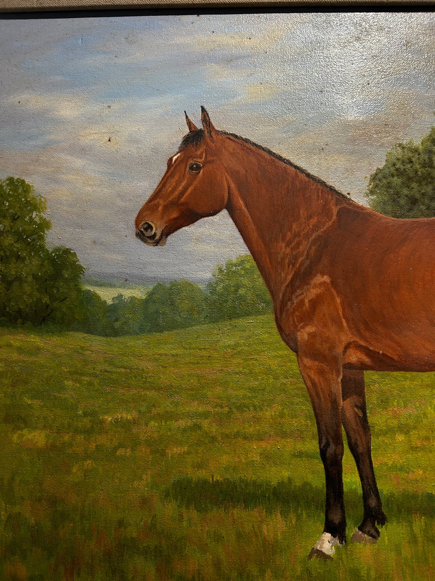 Mid Century Horse Portriat in Original Mod Brit Frame