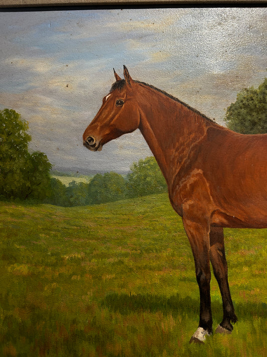 Mid Century Horse Portriat in Original Mod Brit Frame