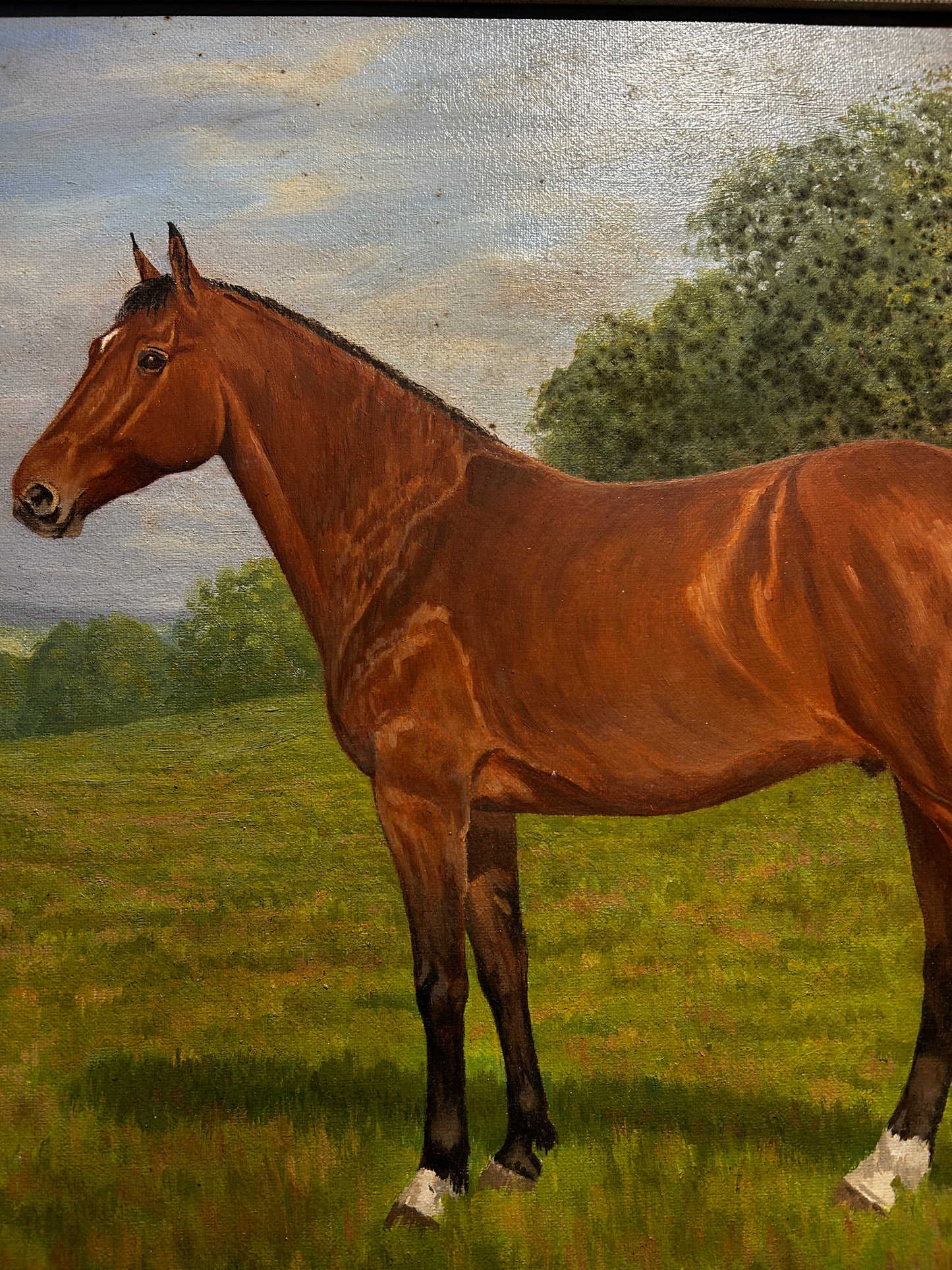 Mid Century Horse Portriat in Original Mod Brit Frame