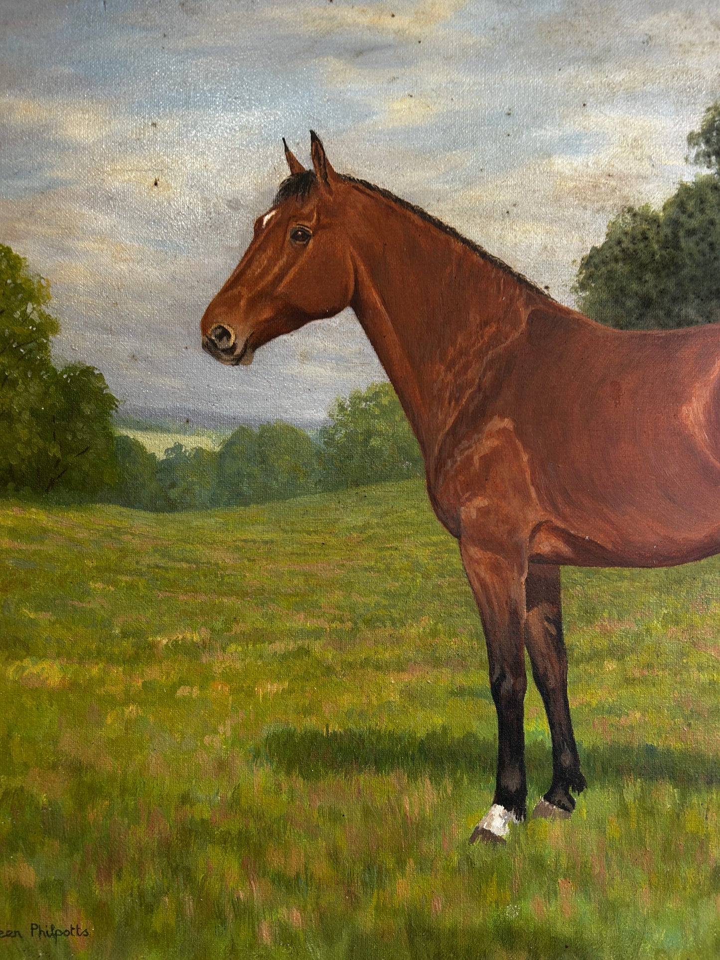 Mid Century Horse Portriat in Original Mod Brit Frame