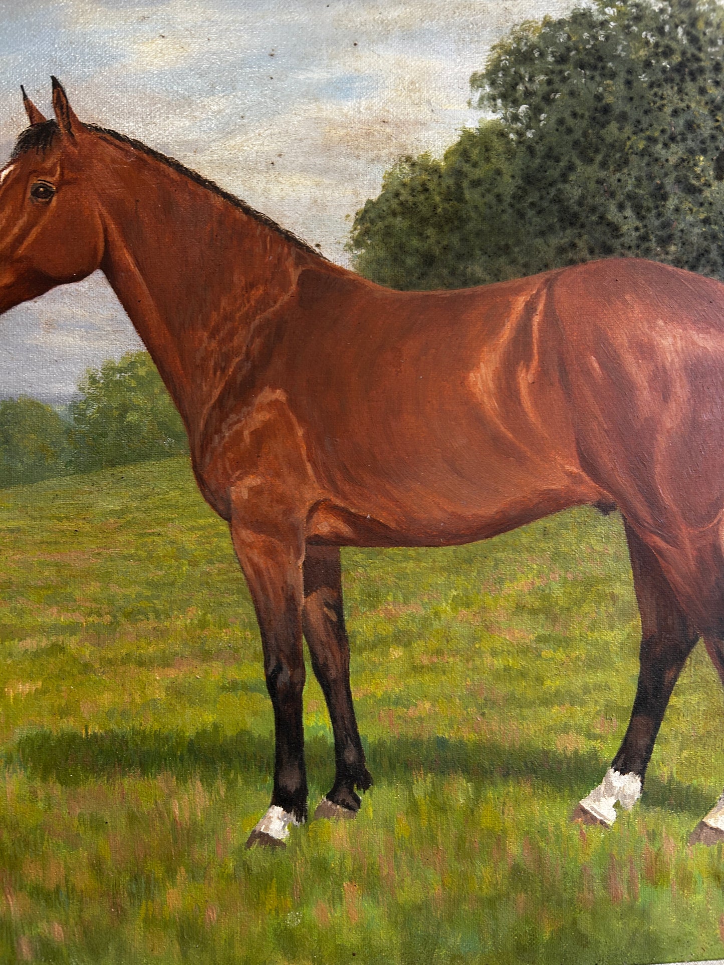 Mid Century Horse Portriat in Original Mod Brit Frame