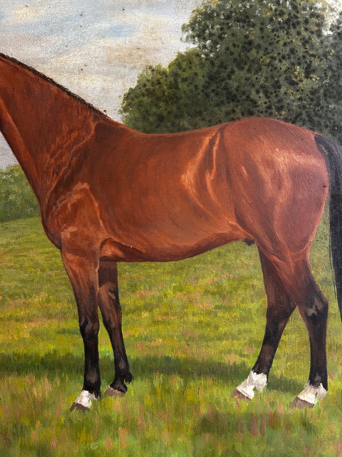 Mid Century Horse Portriat in Original Mod Brit Frame