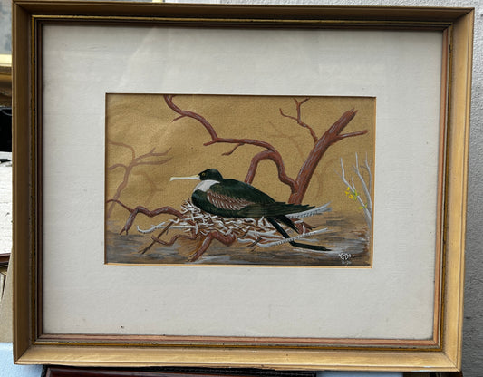 Nesting Seabird Watercolour 1970's