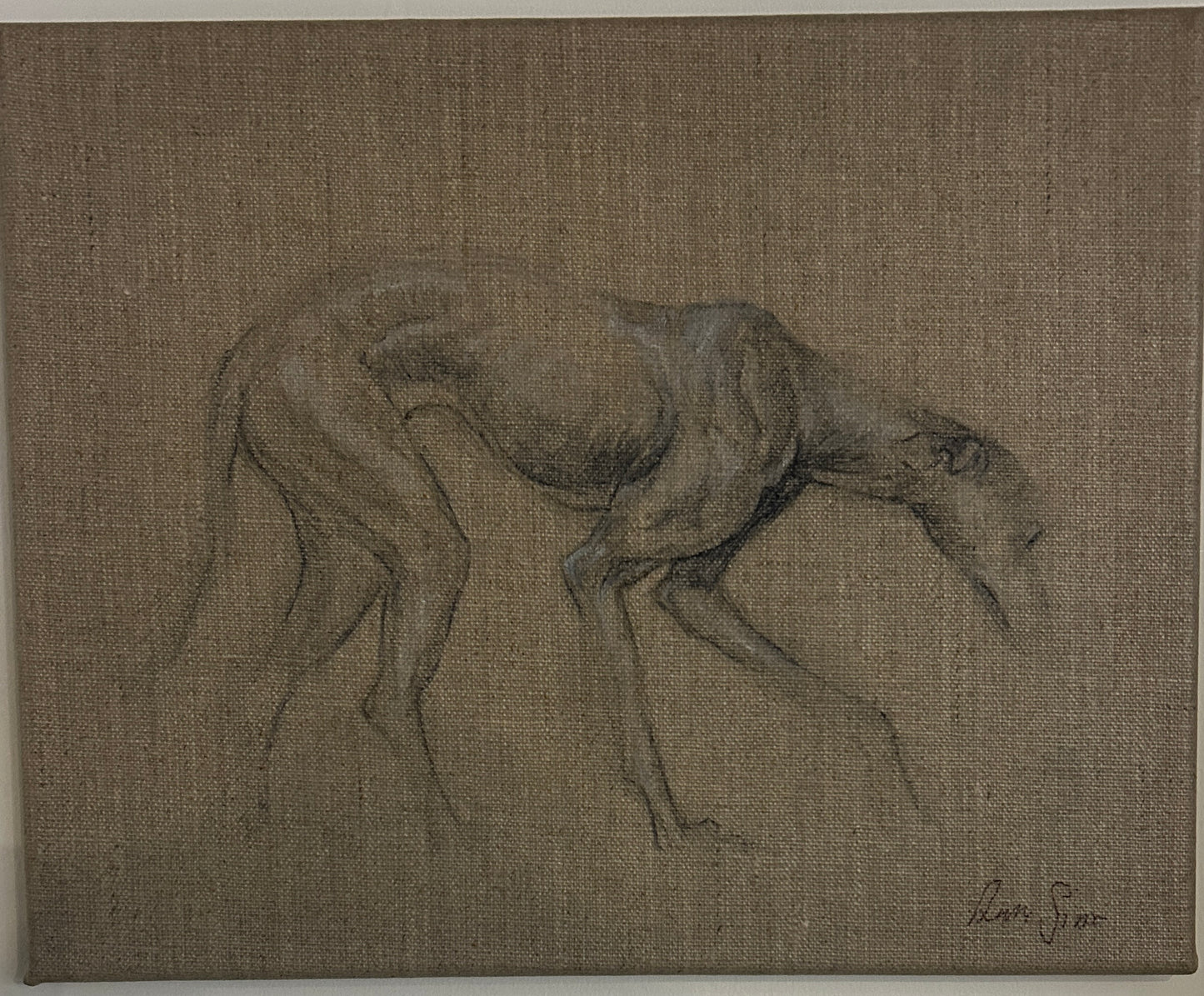Anna Sims Oil on Linen Portrait  of a Greyhound