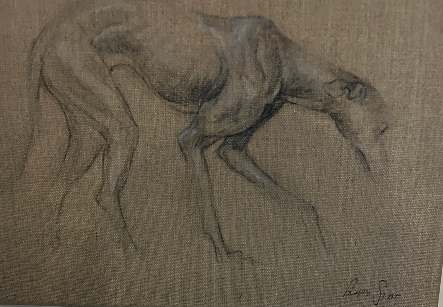 Anna Sims Oil on Linen Portrait  of a Greyhound