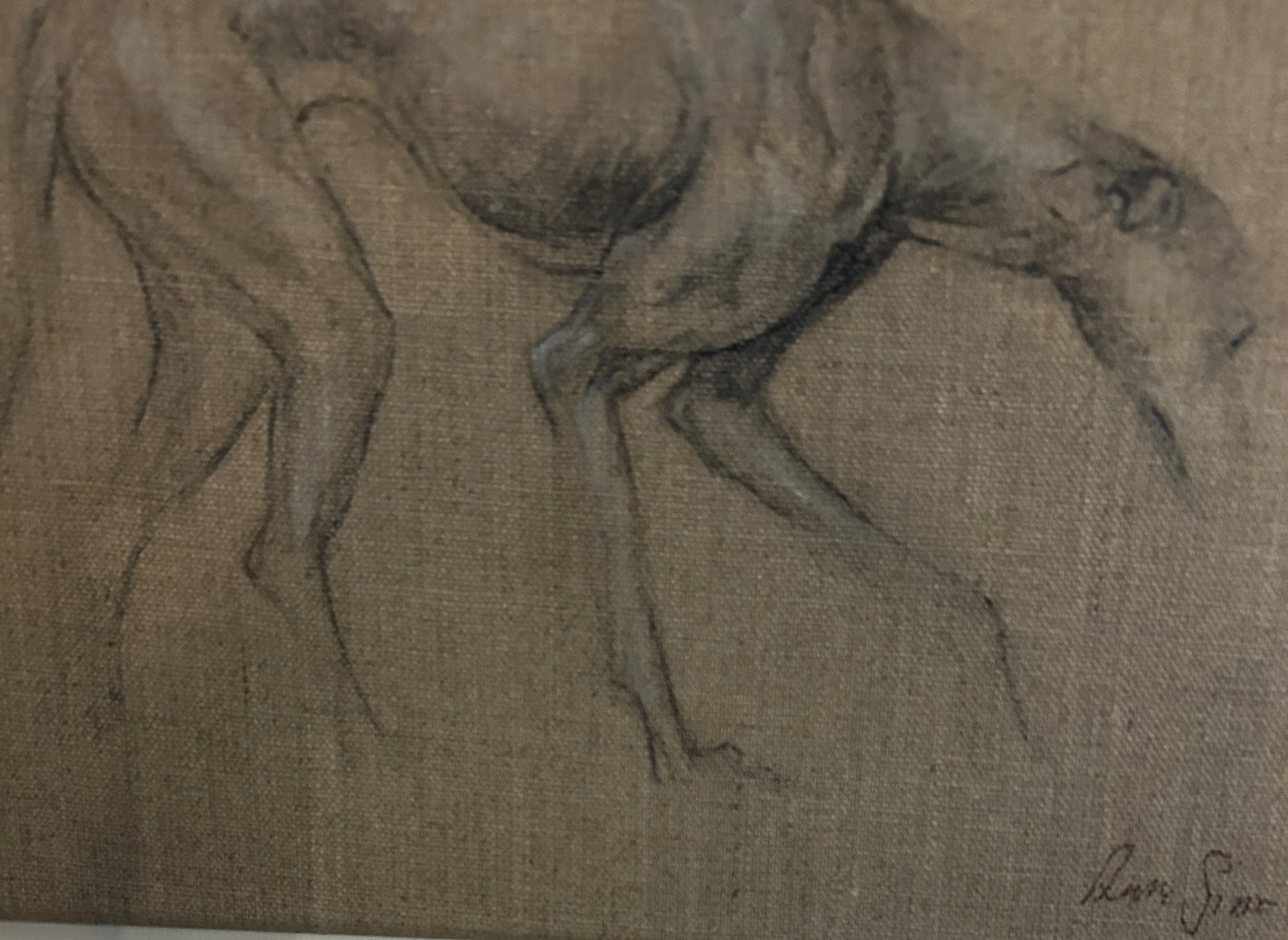 Anna Sims Oil on Linen Portrait  of a Greyhound