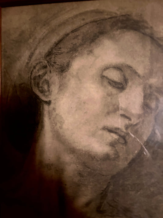 Late 19th Century Female Portrait