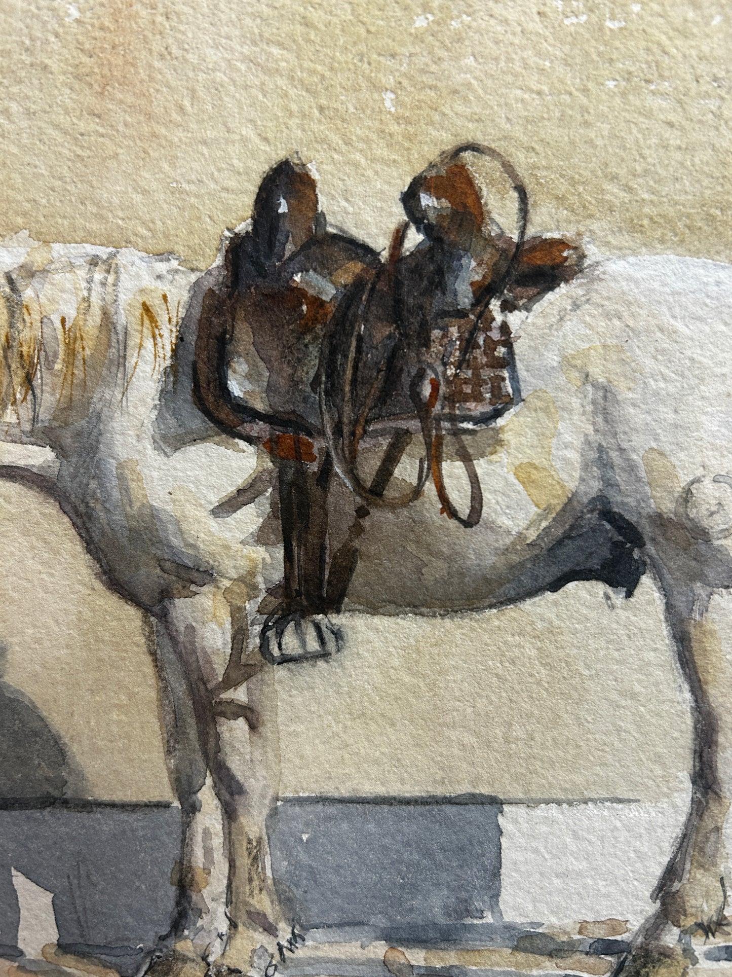 A Pony At Rest Original Watercolour by Malcolm Coward