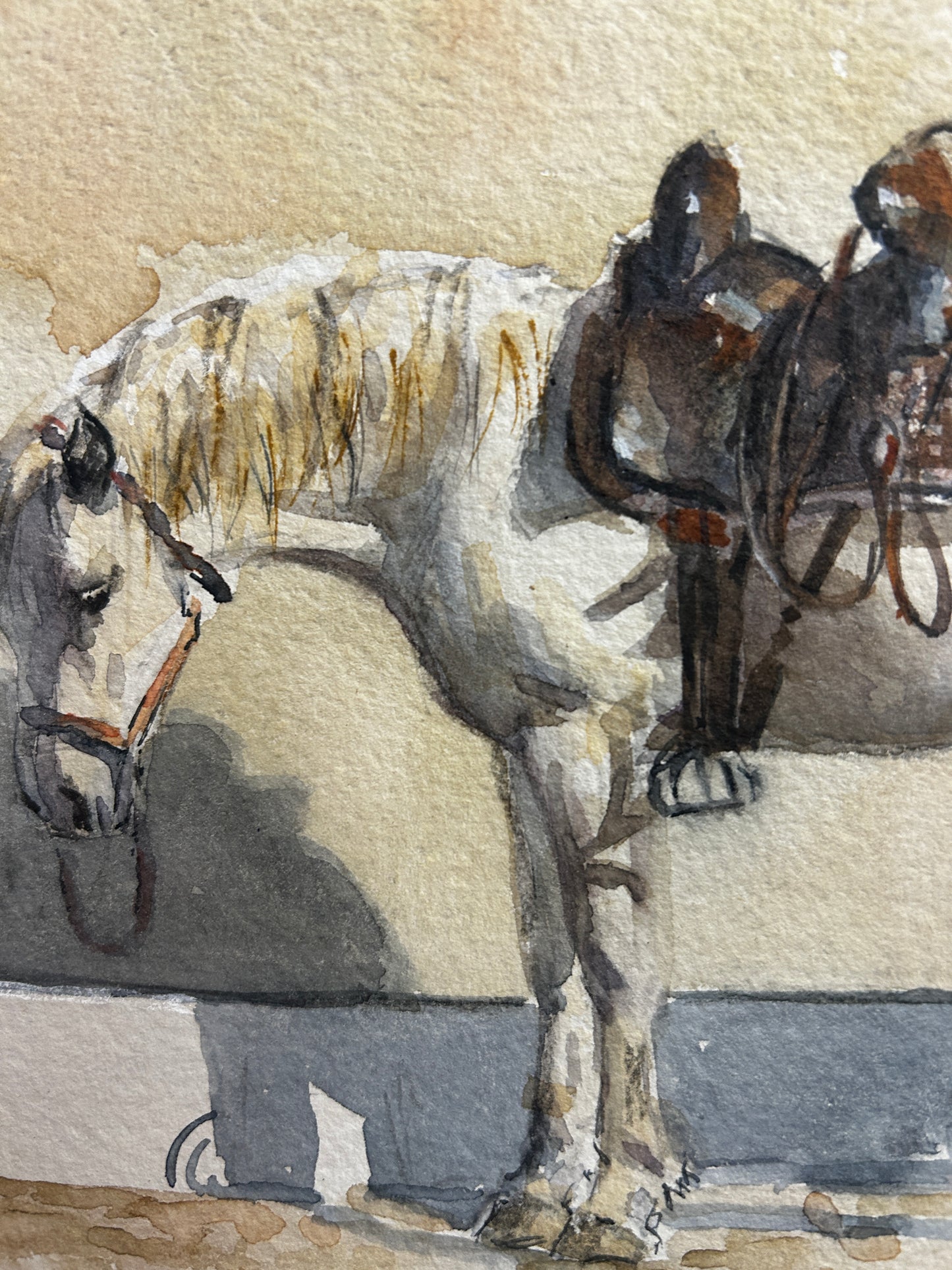 A Pony At Rest Original Watercolour by Malcolm Coward