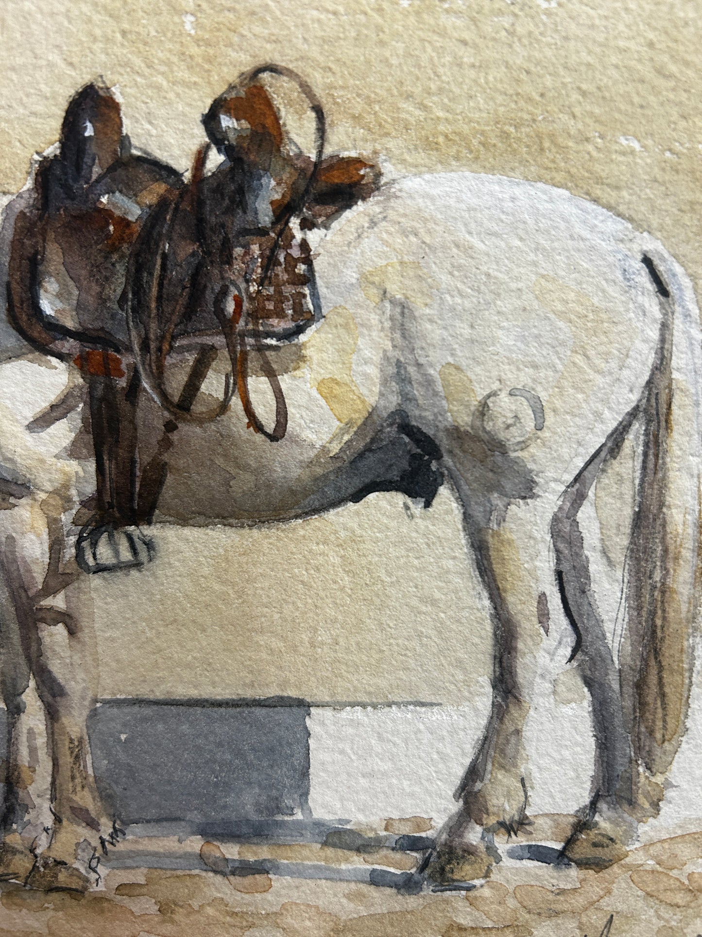 A Pony At Rest Original Watercolour by Malcolm Coward
