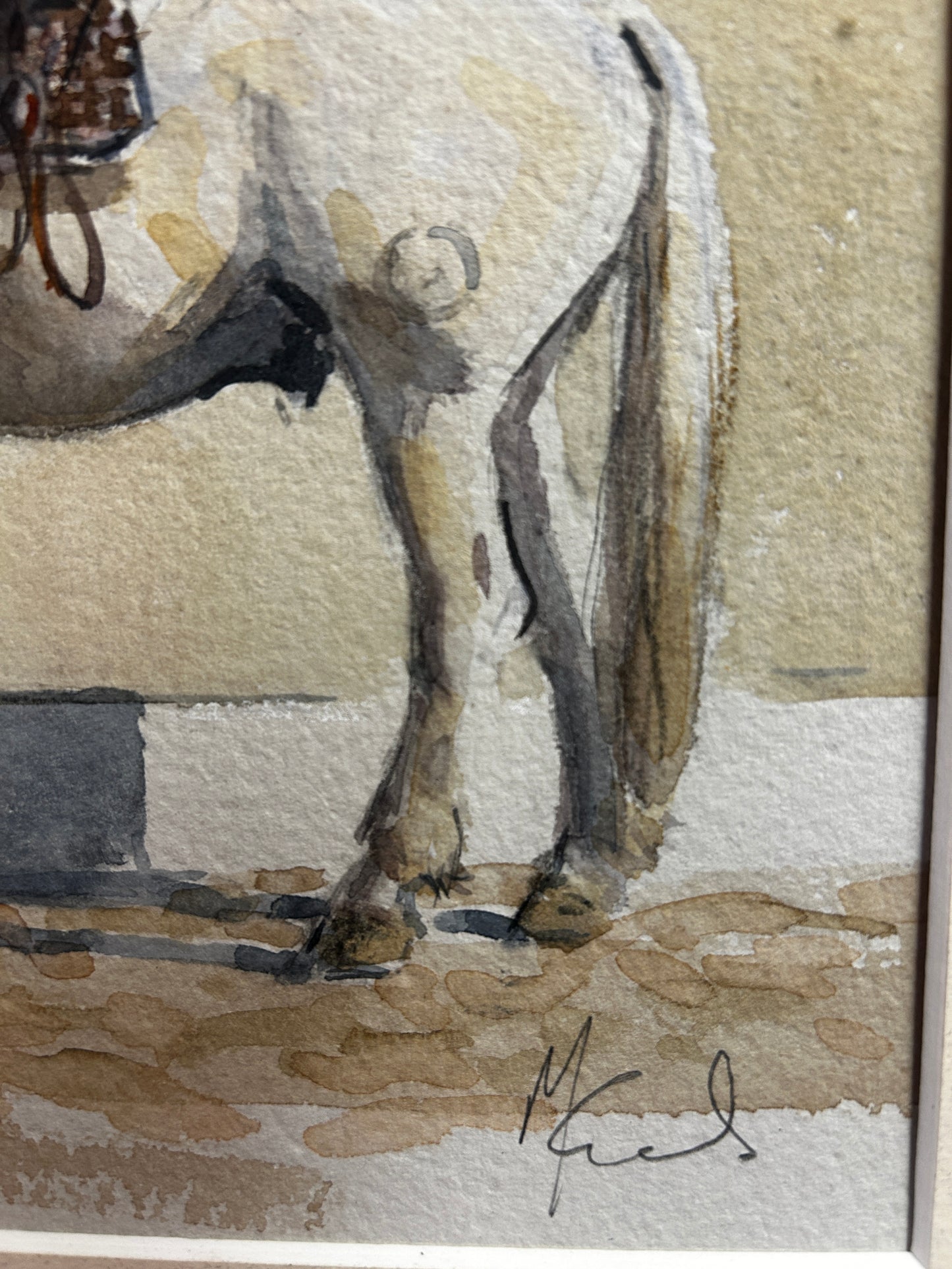 A Pony At Rest Original Watercolour by Malcolm Coward