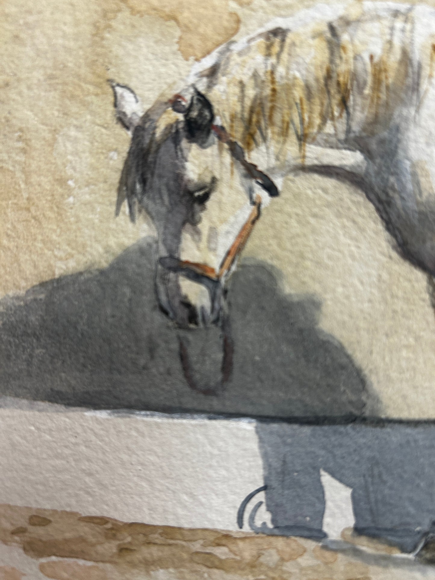 A Pony At Rest Original Watercolour by Malcolm Coward