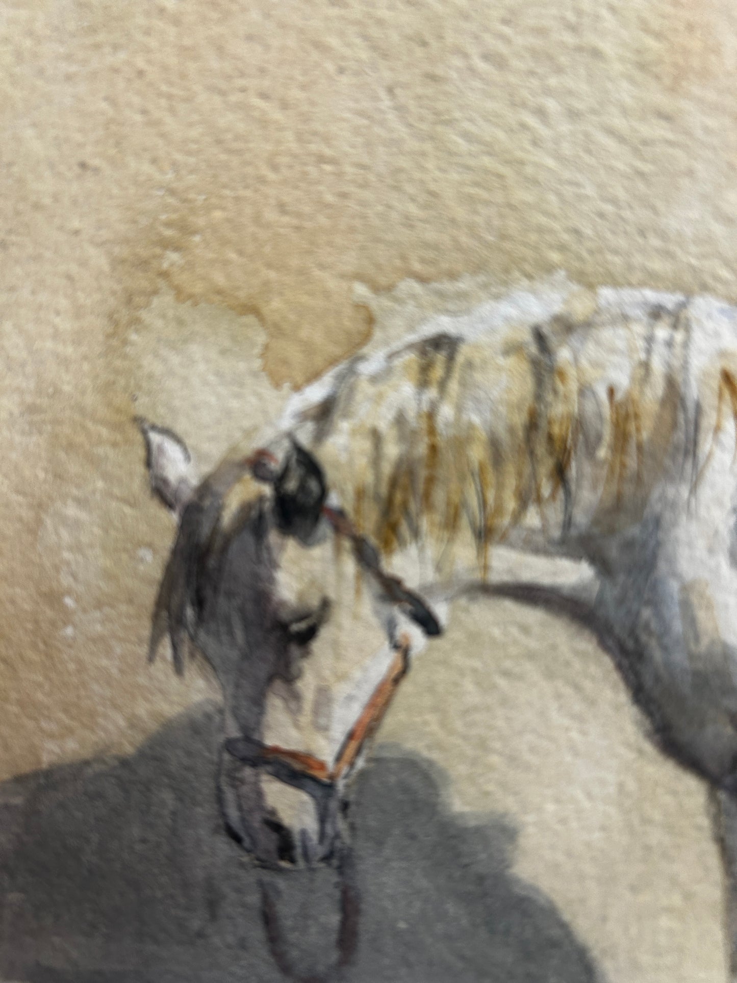 A Pony At Rest Original Watercolour by Malcolm Coward
