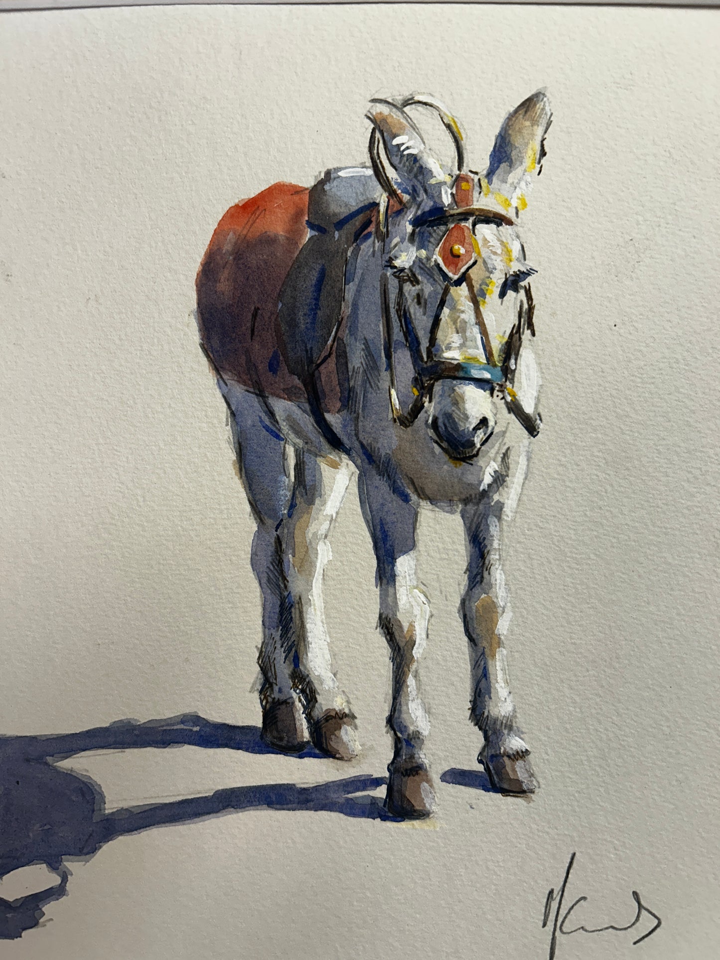 White Pony in Red Blanket Orginal Watercolour by Malcom Howard