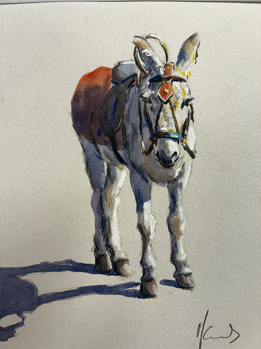 White Pony in Red Blanket Orginal Watercolour by Malcom Howard
