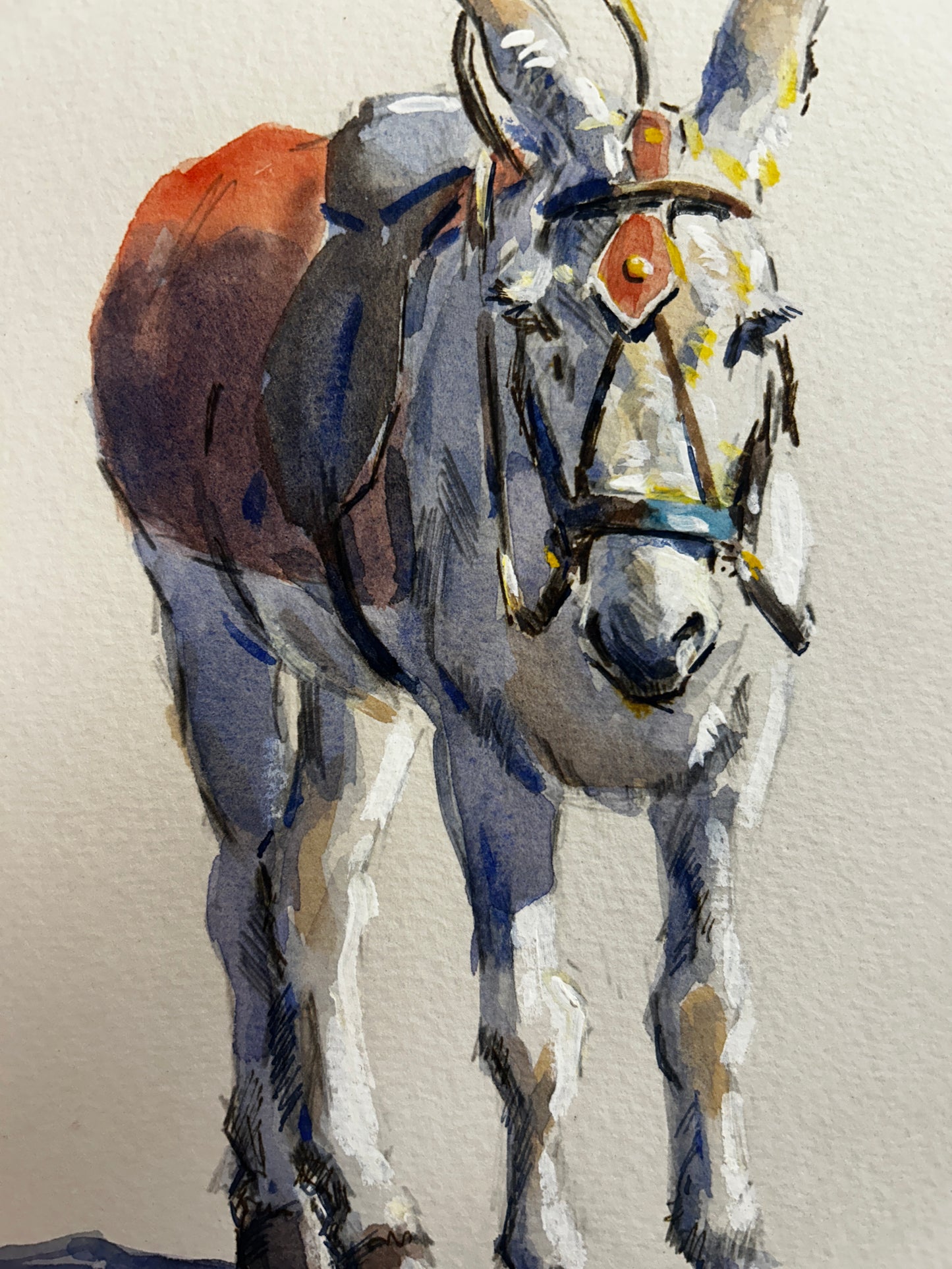 White Pony in Red Blanket Orginal Watercolour by Malcom Howard