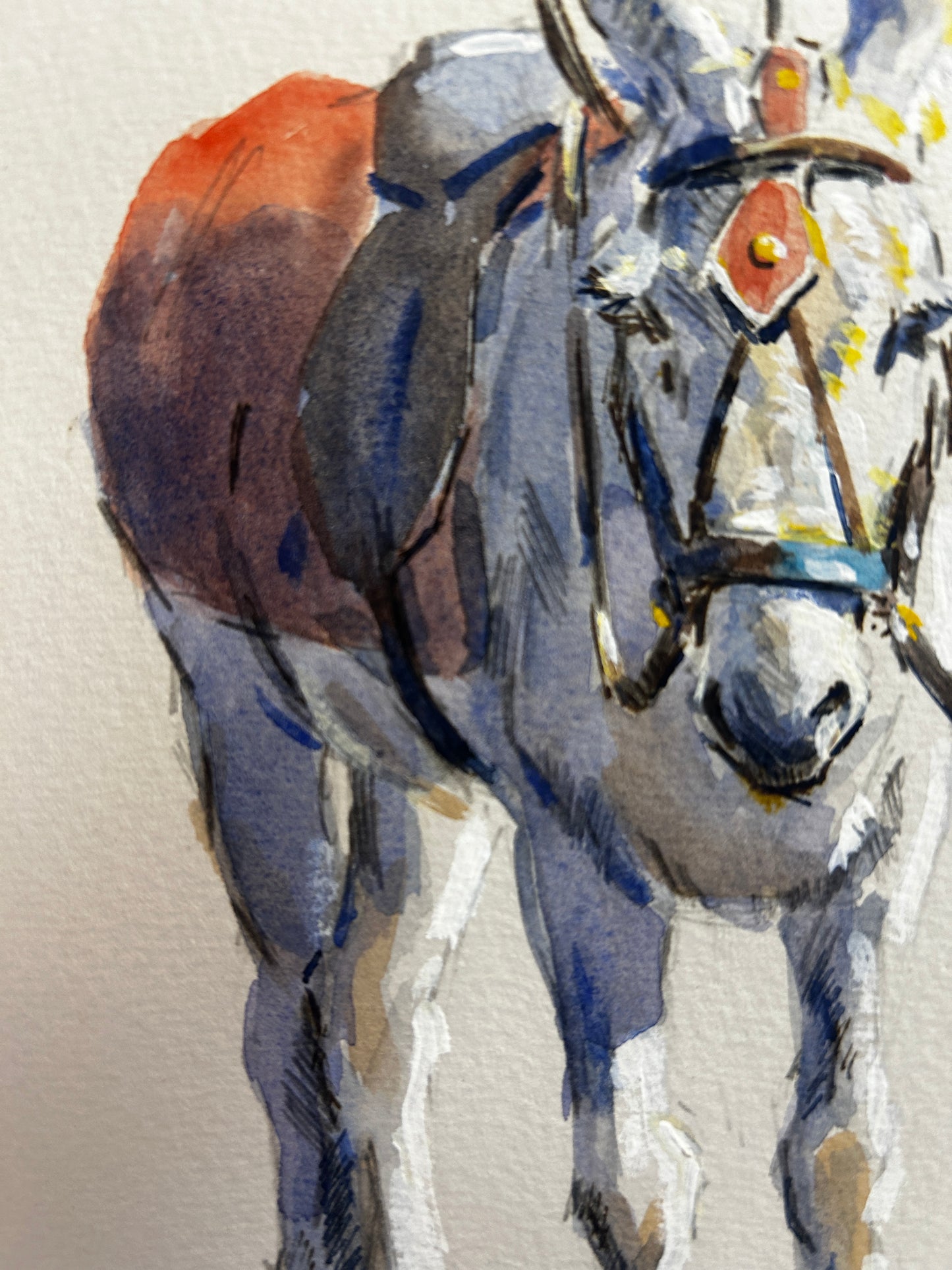 White Pony in Red Blanket Orginal Watercolour by Malcom Howard