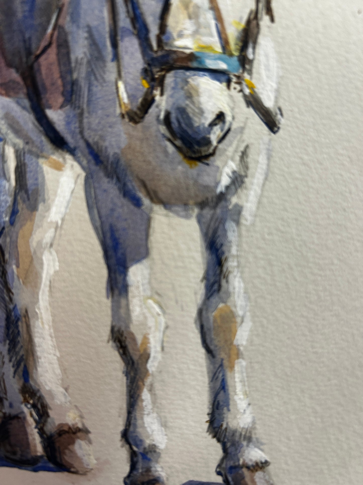 White Pony in Red Blanket Orginal Watercolour by Malcom Howard