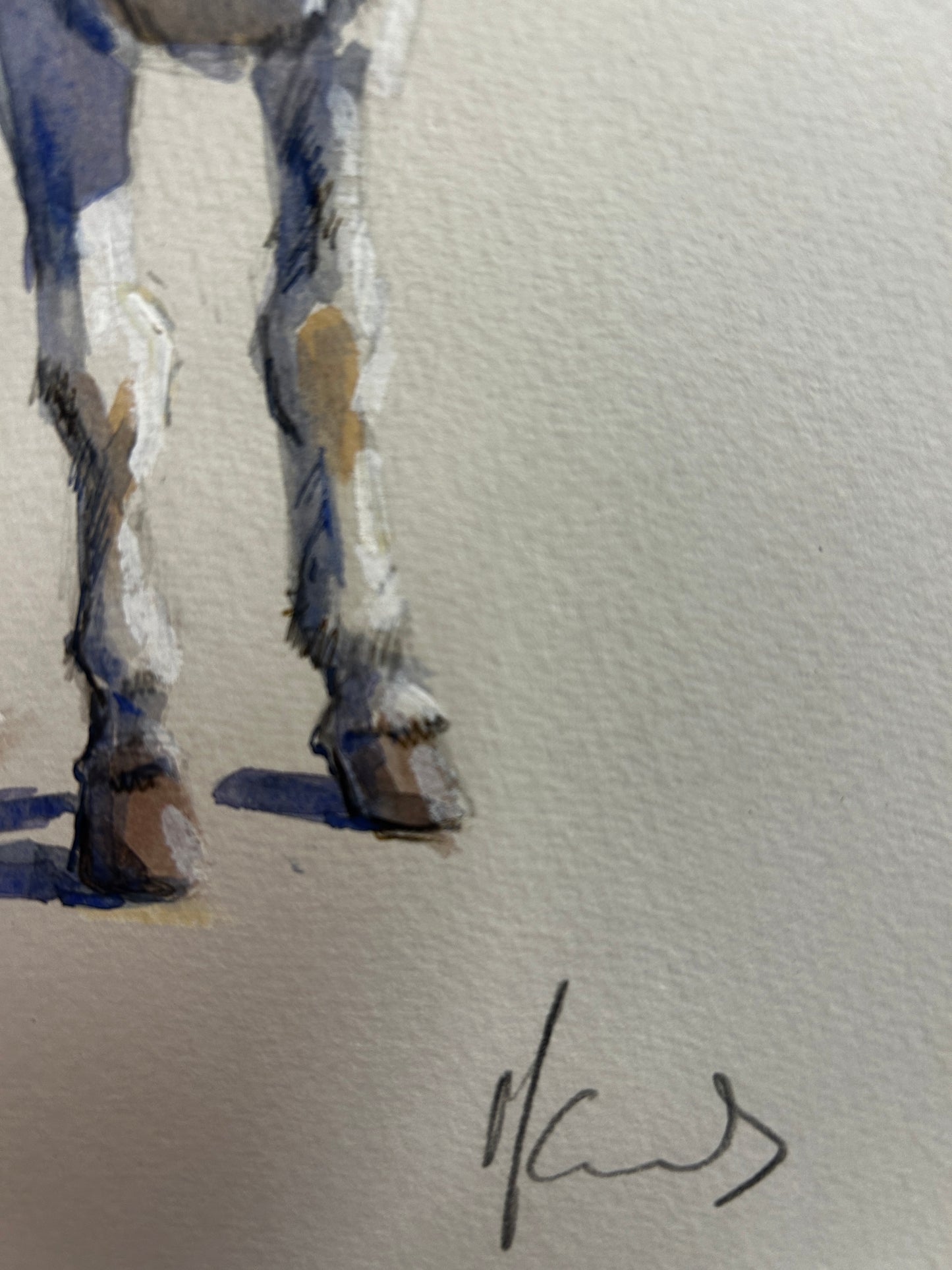 White Pony in Red Blanket Orginal Watercolour by Malcom Howard