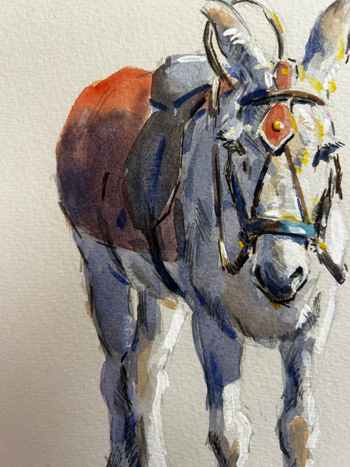 White Pony in Red Blanket Orginal Watercolour by Malcom Howard