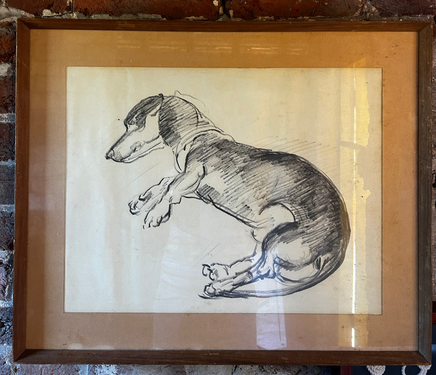 Drawing of a Dachshund by Russell Reeve British, 1895 -1970
