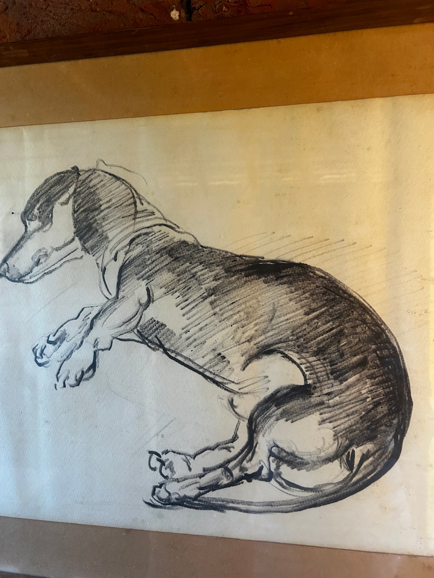 Drawing of a Dachshund by Russell Reeve British, 1895 -1970