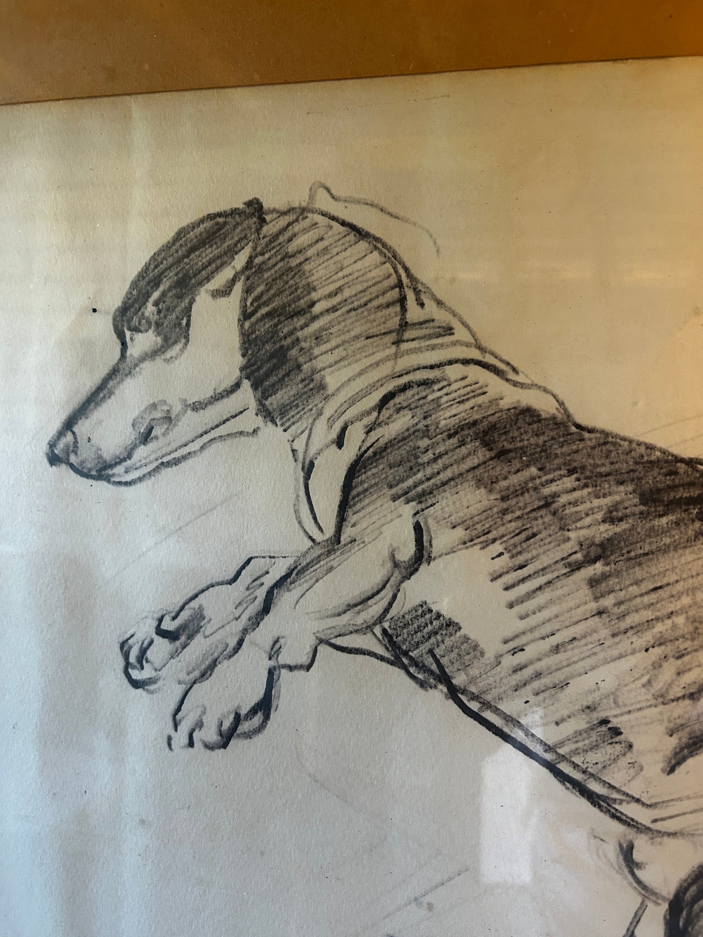 Drawing of a Dachshund by Russell Reeve British, 1895 -1970