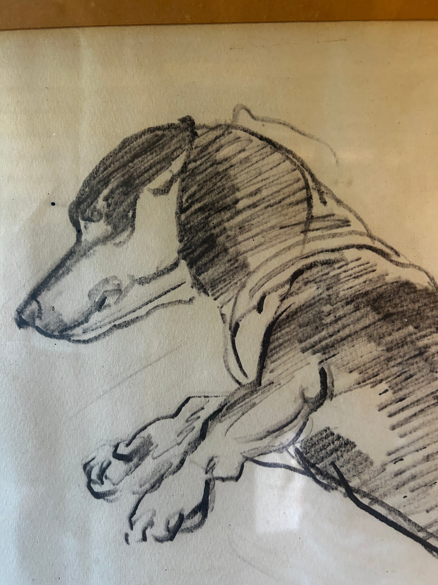 Drawing of a Dachshund by Russell Reeve British, 1895 -1970